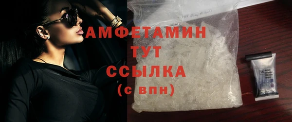 прущие грибы Ельня