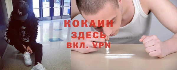 прущие грибы Ельня