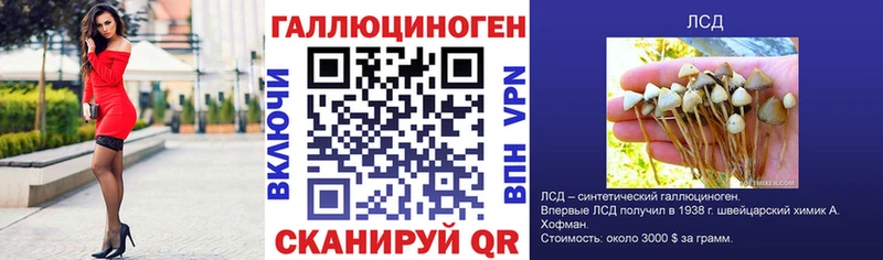 Псилоцибиновые грибы мухоморы  Будённовск 